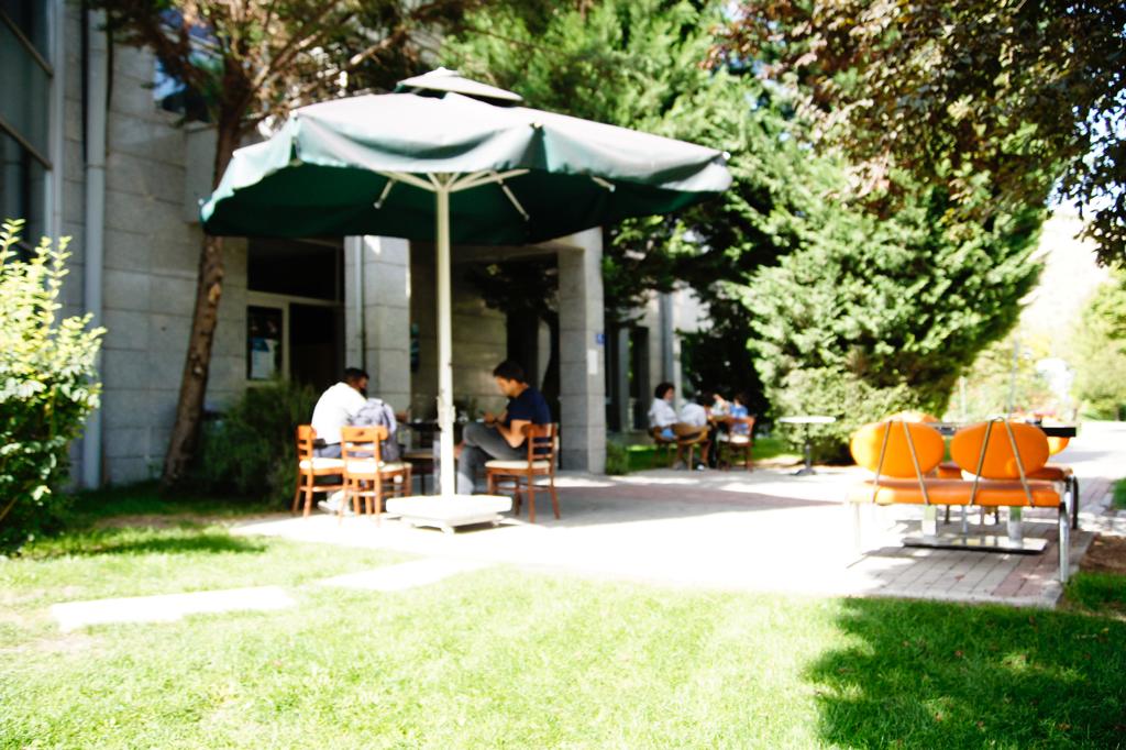 pars yüzme - görsel